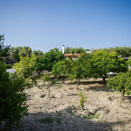 Villa Metochi *