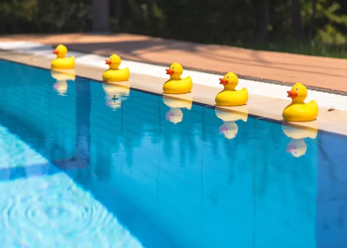 Вілла Metochi *